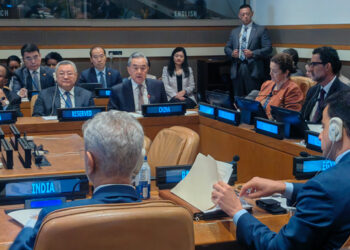 BRICS should contribute to multi-polar world: Chinese FM