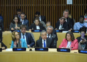 Chinese FM urges G20 to advance, improve global governance with partnership spirit