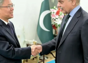PM Shehbaz seeks for enhanced Pak China ties