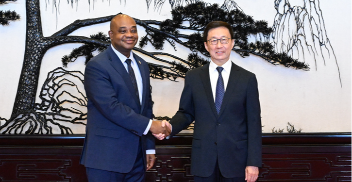 Chinese vice president meets Colombian foreign minister