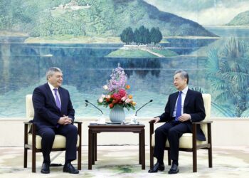 Wang Yi meets Russian Deputy FM Rudenko
