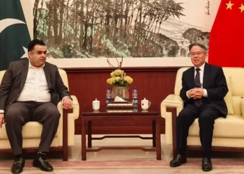 SAPM, Chinese ambassador discuss trade, investment
