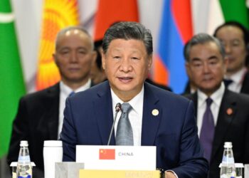 President Xi calls for solidarity of Global South