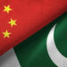 China to work with Pakistan to protect Chinese personnel