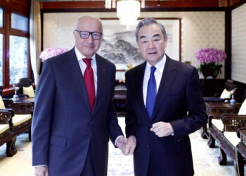 Chinese FM meets president of Constitutional Council of France