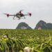 Chinese drones to revolutionize Pakistan's agriculture