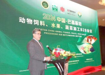 Pakistan Embassy Beijing, in collaboration with BOI hosts B2B matchmaking meeting