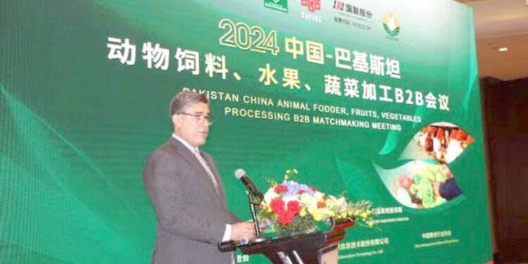 Pakistan Embassy Beijing, in collaboration with BOI hosts B2B matchmaking meeting