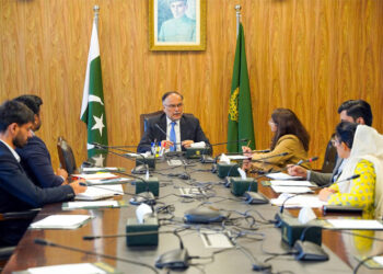 Pakistan to establish model SEZs with China’s cooperation