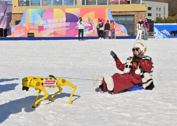 Robotic dogs go on duty at winter ski resort, China