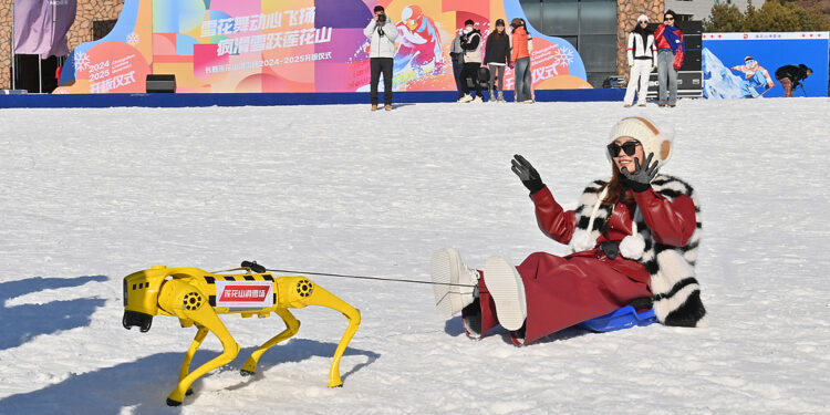 Robotic dogs go on duty at winter ski resort, China