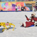 Robotic dogs go on duty at winter ski resort, China