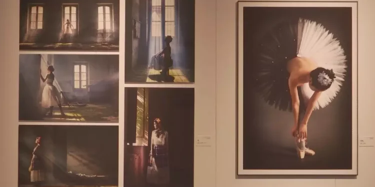 International photo exhibition opens in Guangdong