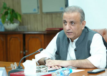 Government accelerates SEZ development for Chinese investors