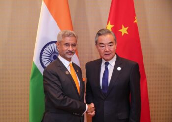Chinese, Indian FMs meet on bilateral ties