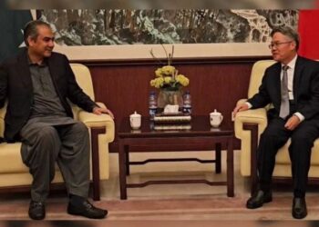 Ensuring security of Chinese nationals govt's top priority: Mohsin Naqvi
