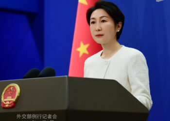 Foreign Ministry Spokesperson Mao Ning’s Regular Press Conference on November 8, 2024