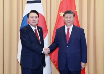 Xi, Yoon pledge stronger China-South Korea partnership
