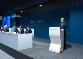 China calls for global climate warning and adaptation efforts at COP29