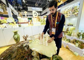 Pakistani camel bone and salt lamps shine at CIIE