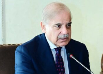 PM approves 20 trade and investment officer posts in China to boost exports