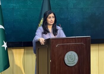 Pakistan FO 'surprised' by Chinese envoy's remarks