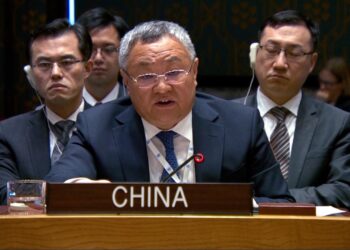 Chinese envoy calls for UN action for Gaza ceasefire