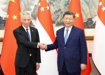 Xi, Lee Hsien Loong discuss strengthening China-Singapore tie