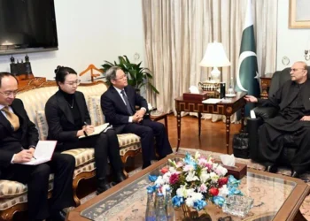Chinese Ambassador calls on President Zardari