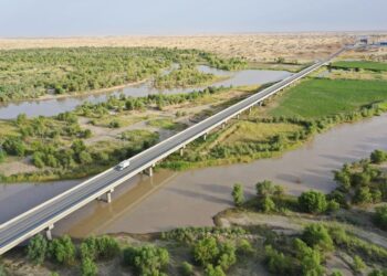 China completes 3,046-kilometer green belt around Taklimakan Desert