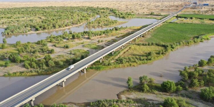 China completes 3,046-kilometer green belt around Taklimakan Desert