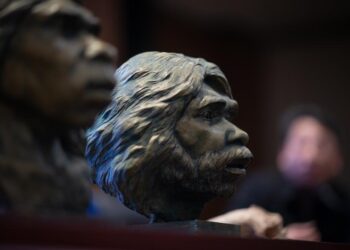 Restored ‘Yunxian Man’ Fossils unveiled in Hubei