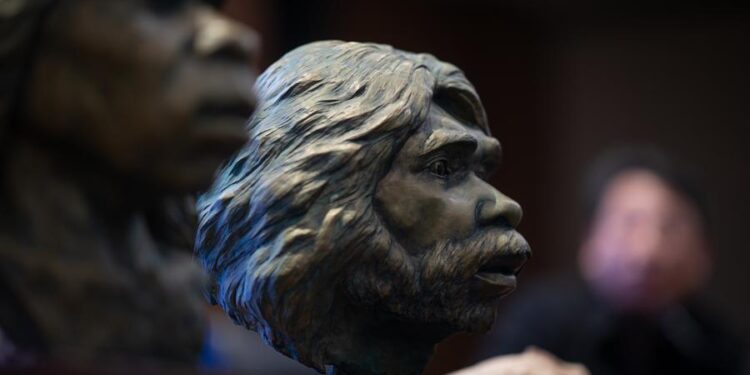 Restored ‘Yunxian Man’ Fossils unveiled in Hubei