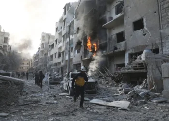Chinese envoy urges peace and stability in Syria