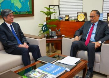 Ahsan Iqbal Commends Role of Energy China