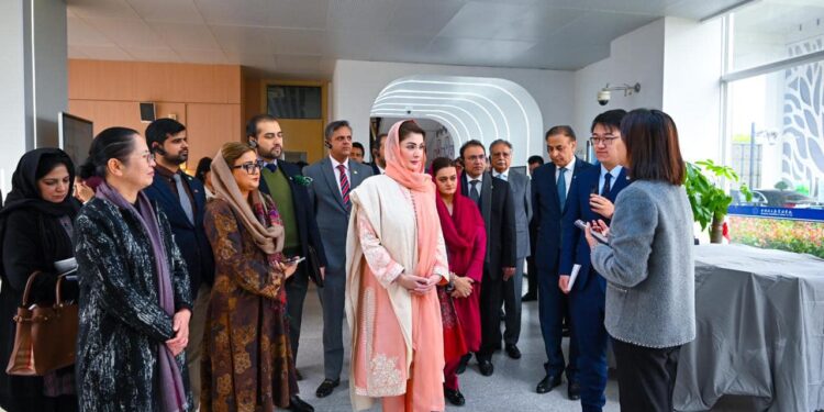 Punjab seeks China’s expertise to combat pollution