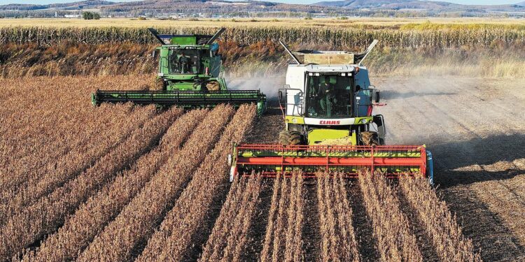 Heilongjiang Province Sets Record Grain Output