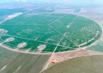 Pakistan China High Tech Agricultural Cooperation