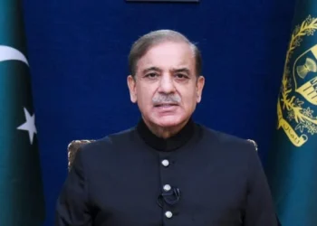PM Shehbaz hails C-5 Nuclear plant launch