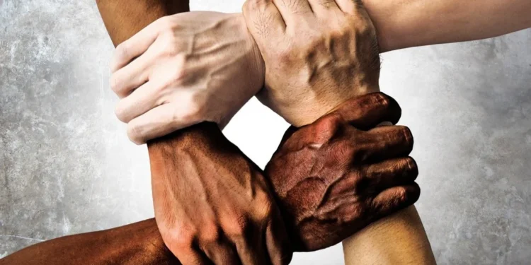 China advocates global human rights cooperation
