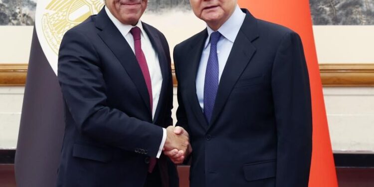 China, Egypt hold strategic dialogue in Beijing