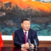 Xi stresses solidarity at 2024 Imperial Springs Forum