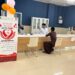 First blood donation camp held at PCFH