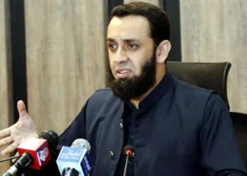 Minister reaffirms commitment for enhancing Pak-China ties