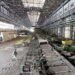 Russia to assess Pakistan Steel Mill revival