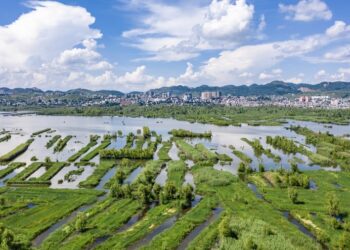 China details climate progress in UNFCCC reports
