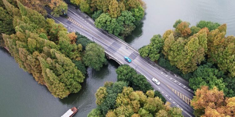 Wang Yi pledges green cooperation with Africa