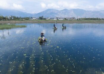 China has made environmental progress in 2024