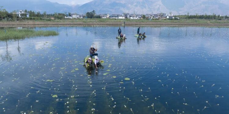 China has made environmental progress in 2024
