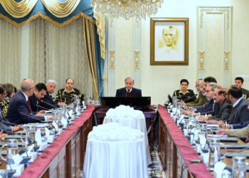 PM Shehbaz calls for merit based selection for China’s agri training